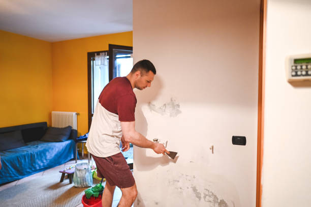 Best Mold Remediation for Specific Building Types in San Angelo, TX